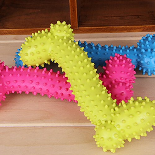 Adorable goma Bones forma pet descompresión Chew Toys tranining Dental Funny No tóxico, color aleatorio