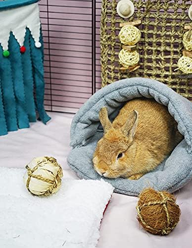 HzNzYHD 2 PCS Guinea Pig Bed Set with Cage Mat, Soft Warm Hamster Bed Cave Nest Cushion for Small Animal Chinchilla Hedgehog Ferret Bunny