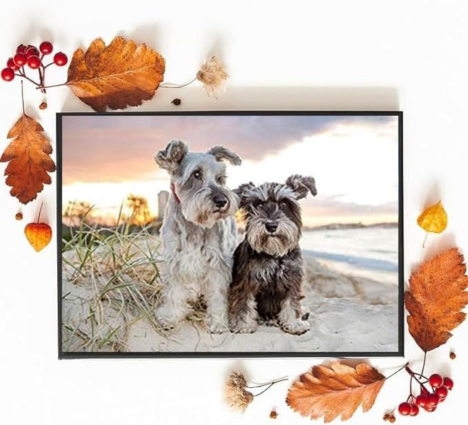 Miniatura 3 de IPISSOI Kits de pintura de diamantes 5D para adultos, Schnauzer Linda pintura de cristal para perros y mascotas, de Diamond Art, taladro redondo,