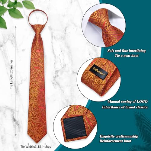 Image of DiBanGu Mens Zipper Tie Silk Pre-Tied Necktie with Gift Box