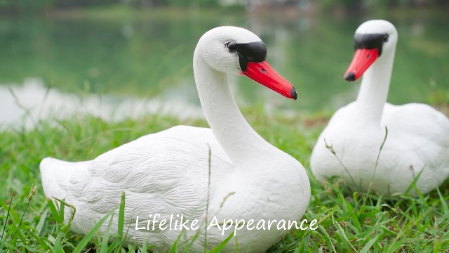 小物 WILD SWANS KF-003 ミニ財布《kf-003》ベイカーロシアンカーフ｜WILDSWANS(ワイルド