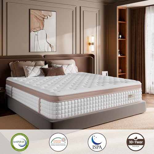 FP FLEXPEDIC Mattress Queen Size 12 Inch - Premium Hybrid Bed in a Box for Couples & Light Sleepers, 366-Night Trial, Pocket Spring Mattress for Back & Lumbar Support, CertiPUR-US Certified