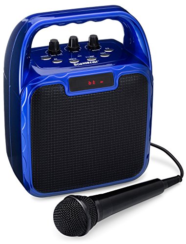 SoundBeast Pegasus Karaoke Machine & Portable PA Speaker System For Kids & Adults