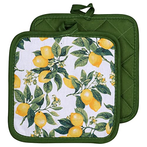 Nature Theme All Seasons Things Creatures Kitchen Decor Print Potholder Pot Holder (Lemon Citrus) #TOP12