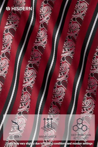 Image of HISDERN Ties for Men Paisley Tie and Pocket Square Cufflinks Set Formal Classic Floral Necktie Handkerchief Wedding Party