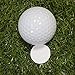 GOLTERS Golf Ball Marker Blank Golf Markers (White)