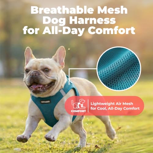 Image of Voyager Step-in Air Dog Vest Harness - Turquoise, X-Large