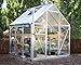 Palram - Canopia 6x4 Greenhouse for Outdoors, Walk-In, UV Polycarbonate Panels, Heavy Duty Aluminum Frame, Lockable Door, Adjustable Roof Vent, Rain Gutters, Galvanized Steel Base, Hybrid (Silver)