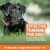 SportDOG Brand Rechargeable In-Ground Fence System - Waterproof, Rechargeable Collar with Tone, Vibrate, and Static - Expandable to Contain Unlimited Dogs