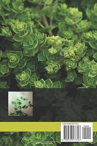 Oregano Growing: The beginner's guide to growing oregano from propagation to harvesting
