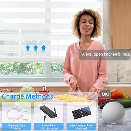 Image of Motorized Zebra Blinds Custom Size Smart Dual Layer Shades for Windows with Remote | Assembled in USA | Electric Day and Night Privacy Light Filtering Rechargeable Quiet Motor Window Shades