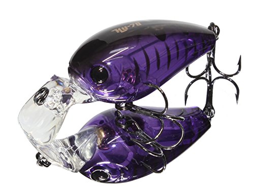 HIDEUP(ハイドアップ) ルアー HU-70 #40 ガングレープ