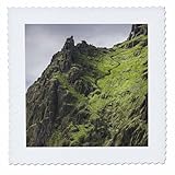 Square dimensions (in inches): 12 L x 12 W, image dimensions (in inches): 10 L x 10 W 100% poloyester; image is soft to touch. Made in USA Edges have pinking shear cut Image will not fade with washing. Image not a transfer, part of material
