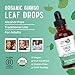 MARYRUTH'S Organics Ginkgo Leaf Liquid Drops | Herbal Supplement | Nootropic | Circulatory System & Nervous System Health | USDA Organic | Non-GMO | Vegan | 60 Servings
