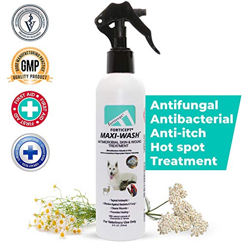 Forticept Maxi-Wash Antiseptic Spray for Hot Spots, Anti Itch Spray, Pyoderma, Wounds, Burns