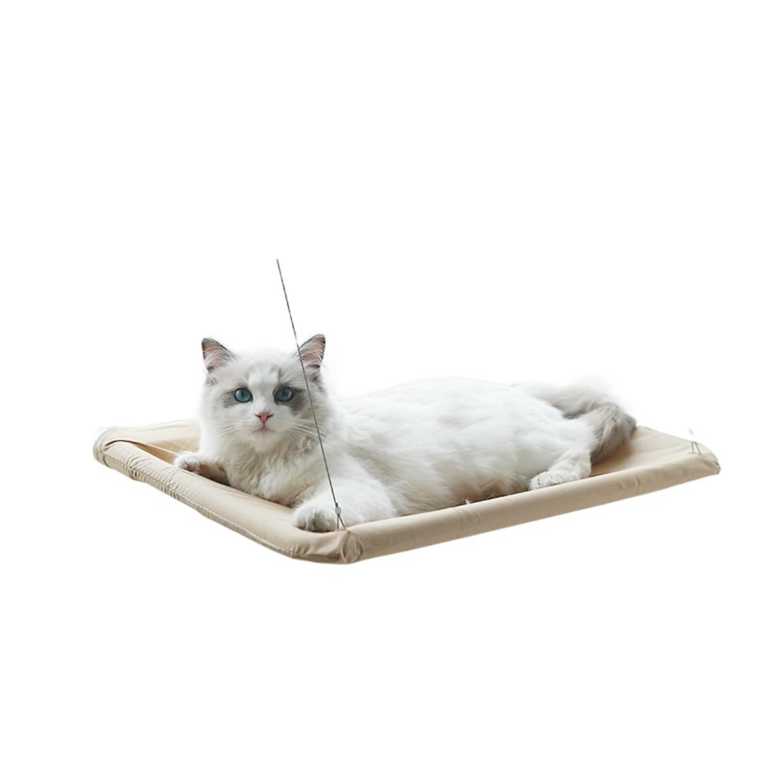 Haustier Katze Hängematte Hängen Bett Lager 20Kg Bequeme Sunny Fenster Sitz Halterung Kätzchen Klettergerüst Zubehör Stabil Komfortabel(Wald grün)