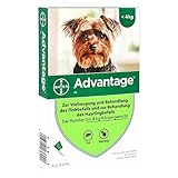 Advantage 40 Lösung für Hunde bis 4 kg