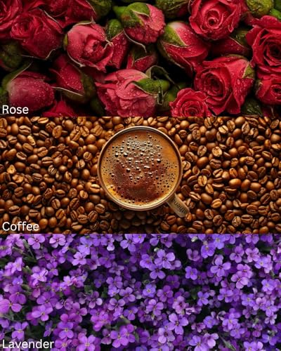 Image of TOXICMALE Girl + Oud for Greatness | Perfect Long lasting Women's perfume for date| perfumes for Women | Gift for her | TMA26 | 50 ml perfume | TM Perfume House