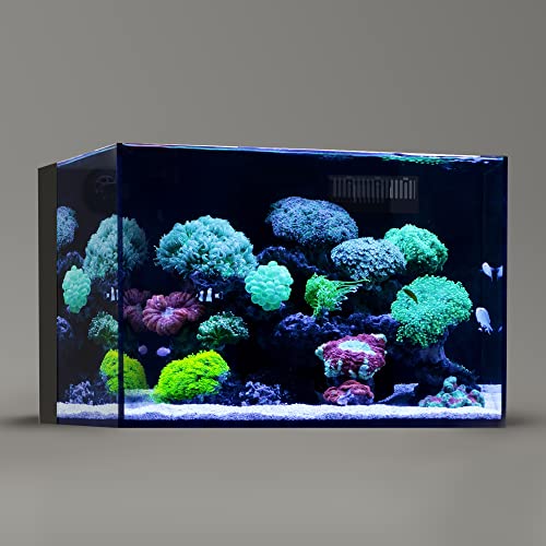 Fish Tanks With Built In Filters BUILTIN Aquarium Filter