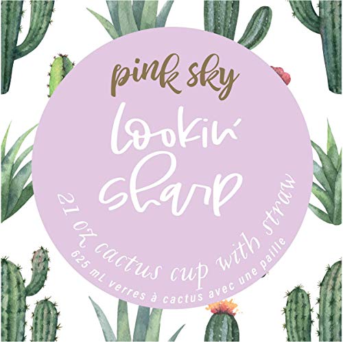 Pink Sky 21 Oz Cactus Cup With Straw, Novelty Drinking Cup (21Oz, Cactus) #TOP3