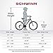 Schwinn Coal Krate Classic Sting-Ray Bike, 20 Inch Bike for Kids Ages 6 and Up or Adults, Iconic Vintage Design, Steel Frame and Springer Fork, Fenders, Single Speed, Rear Coaster Brake