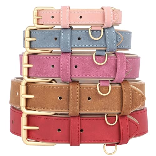 Collier réglable et laisse de marche pour chien de taille moyenne - 7