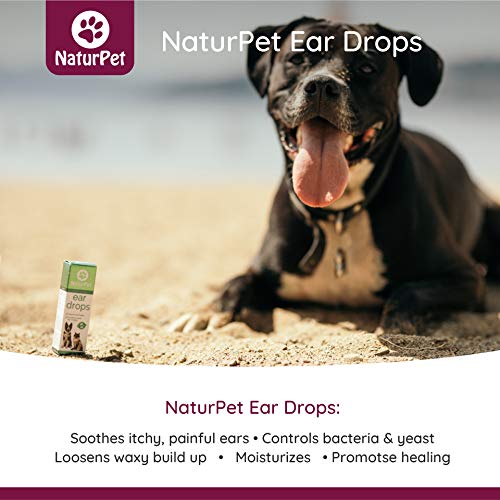 ear drops for dogs after swimming