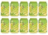 DG Ting Grapefruit Drink 330ml (Pack of 10)