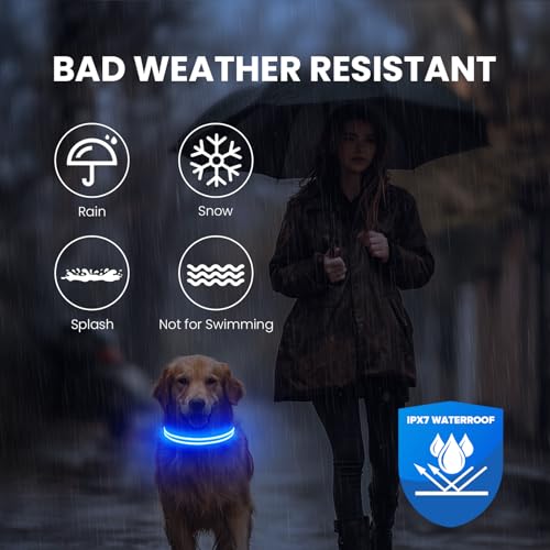 Feycig Leuchthalsband Hund USB Aufladbar - LED Hundehalsband Leuchtend Wasserdicht Leuchtendes Hunde Halsband Einstellbare für Kleine Mittlere Große Hunde, 3 Modi