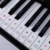 VZKOO Removable Piano Keyboard Stickers 88/61/54/49/37 Keys Piano Key Stickers Guide Perfect for Adult and Children Beginners - 2 Set