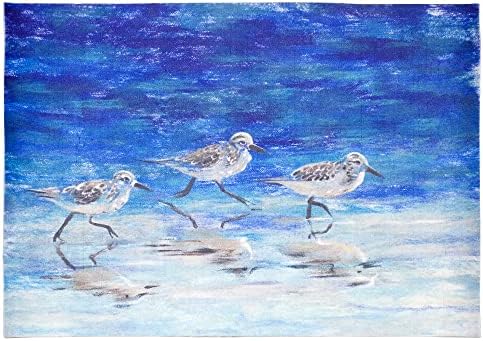 Liora Manne Illusions Indoor/Outdoor Mat - Transitional Decorative (Sea Birds Ocean) (1'7" x 2'5")
