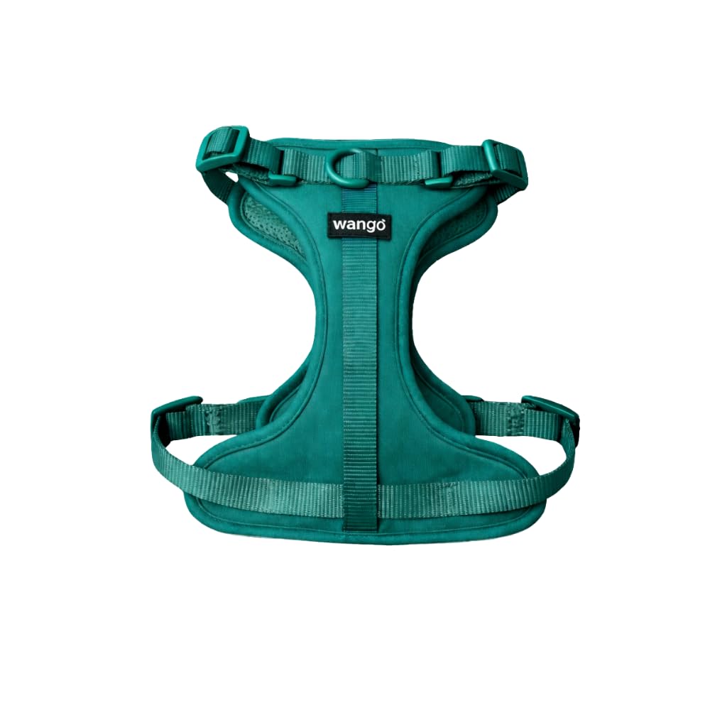 WANGO Arnés Body Ajustable Tipo H para Perros Acolchado Suave, Ajuste en 3 Puntos, 3 Enganches, Apertura Frontal (Verde, M)