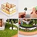 Youngmodeler Hobby Wooden Model Kits Mini Diorama Tile-Roofed House - Experience The Charm of Traditional Korean Villages