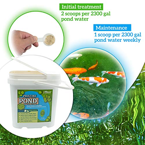 Pristine Pond Cleaner and Clarifier with highly concentrated Beneficial Bacteria. Reduces Muck, Solids, and Sludges in Lagoons, Ponds, Water Features. Safe for Koi (8.00, 8 Pounds)