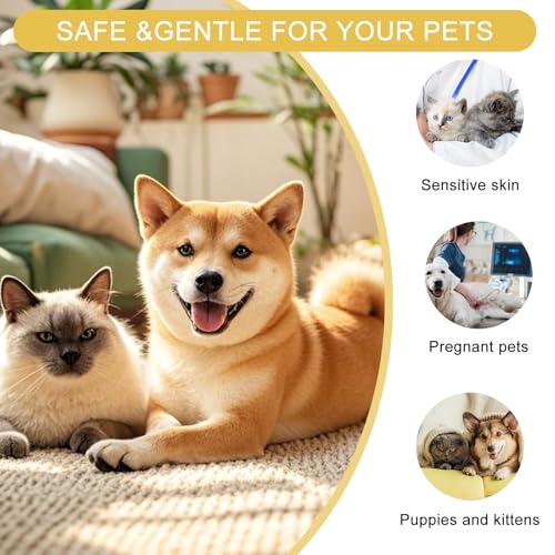 Toivize Pet Skin Care Spray für Hunde & Katzen, Antiseptisches Hautspray, Beruhigendes Spray gegen Juckreiz, Allergien & Trockene Haut, Wundpflege & Schnelle Hautregeneration, 50ml