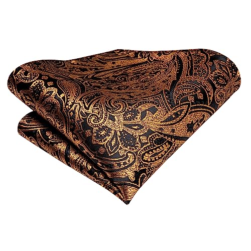 Hi-Tie Silk Paisley Ties for Men Necktie Pocket Square Cufflinks Set Foral Tie Sets Formal Business