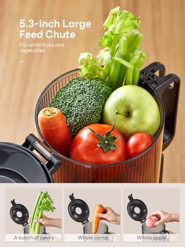 Cold Press Juicer, 140mm Large Feed Chute Masticating Juicer for Whole Fruits and Vegetables, 300W High Yield Slow Juicer with Reverse Function, BPA-Free, Easy to Clean, Black (Black) - Image 3