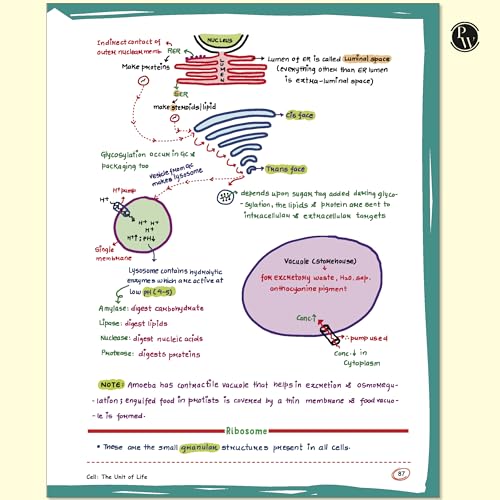 Image of PW Botany Med Easy Dr. Vipin Sharma and Easy Handwritten Notes Inorganic Chemistry By Om Pandey Combo Set of 2 Books For NEET and Board Exams 2025-26
