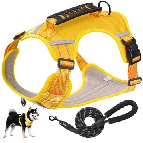 JOYSIANn[lXh~ őϋv p ^/^/^ TCY\ A^}ʂ P݌y ʋC bV s⏕ U p S  hbO Č Hc ṕ[˂ 1.5m[ht Ԕ