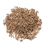 Bongivoanni Farine e Bontà Naturali