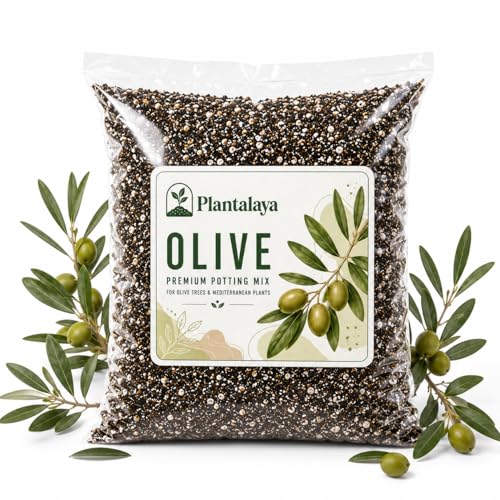 Image of Olive Tree Potting Mix Premium Free Draining Mediterranean Soil for Olive Trees Citrus Lavender & Patio Plants (5 Litres)
