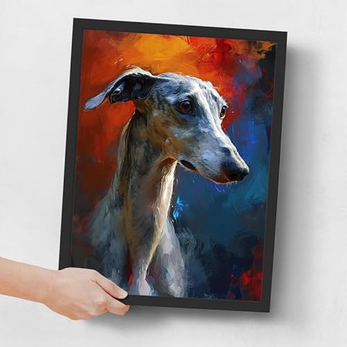 What does a greyhound dog look like