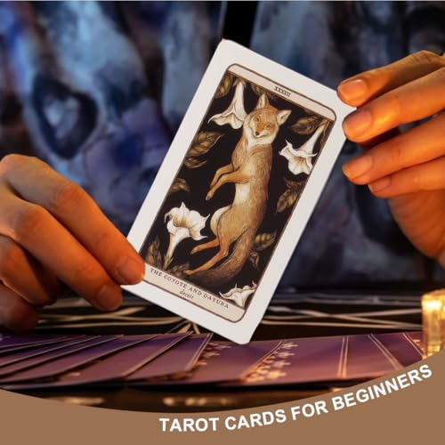 NHQZ Tarot juego de adivinación con baraja para todos