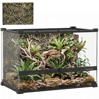 PawHut terrarium en verre 50x30x35 cm avec panneau de fond