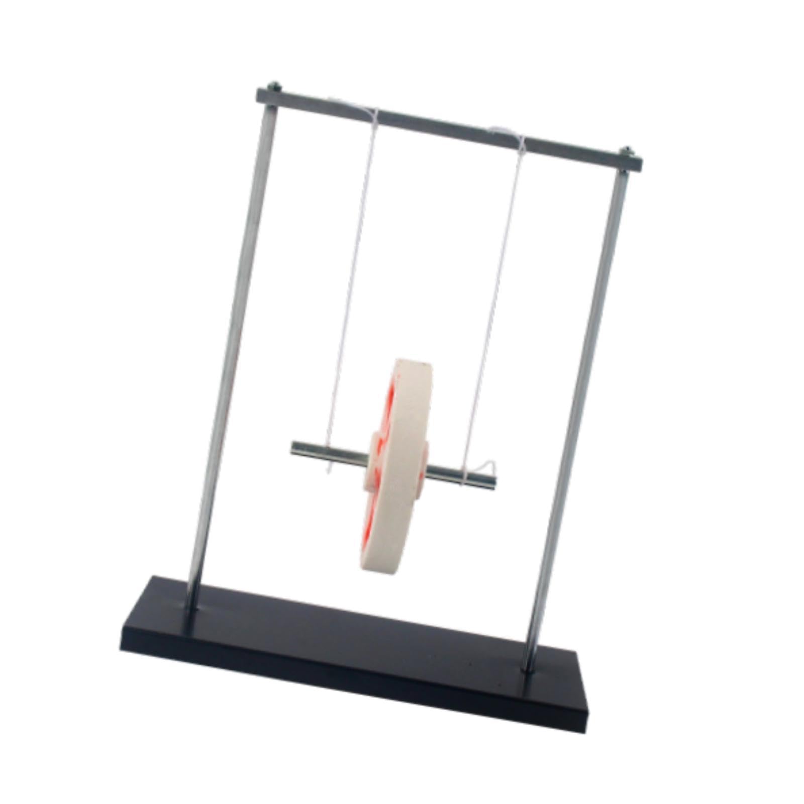 Colcolo Kit di Fisica Maxwell Strumento Educativo Pratico Pendolo Oscillante per Insegnamento Fisico Stabile per Adolescenti Insegnanti di Scuola Domestica