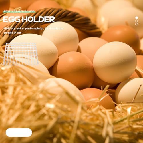 Evite roturas con la bandeja para incubadora de huevos de 88 compartimentos de plástico seguro 6