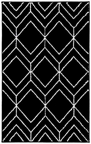 SAFAVIEH Adirondack Collection Accent Rug - 2'6" x 4', Black