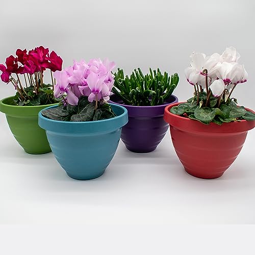 The HC Companies Pflanzgefäß mit selbstbewässernden Scheiben, 25,4 cm, leicht, für drinnen und draußen, Kunststoff, für Kräuter und Blumen… – Ansicht 2