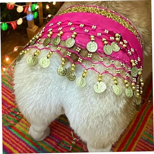 Disfraz para perro estilo baile del vientre en rosa