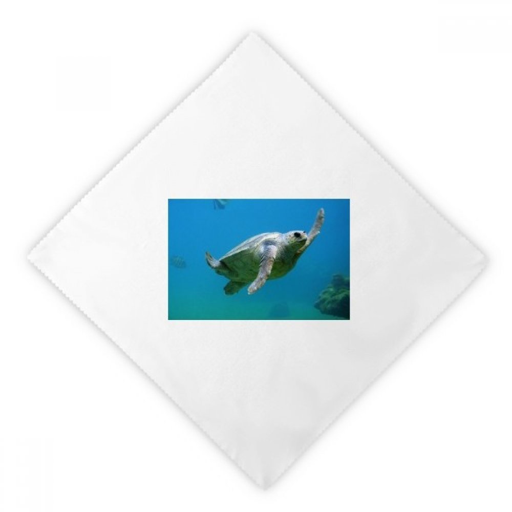 Serviette en tissu tortue marine lot de 2 essuie-mains réutilisables 47cm multicolore